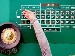 Cổ phiếu Sportradar có tiềm năng tăng trưởng nhiều hơn, theo nhận định của nhà phân tích.